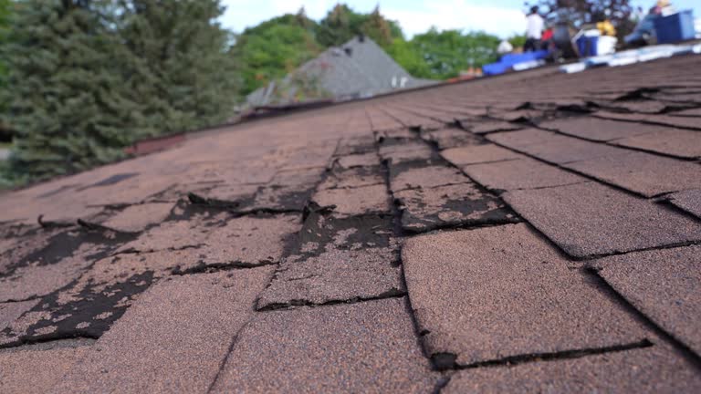 Best Flat Roofing  in Lowry Crossing, TX