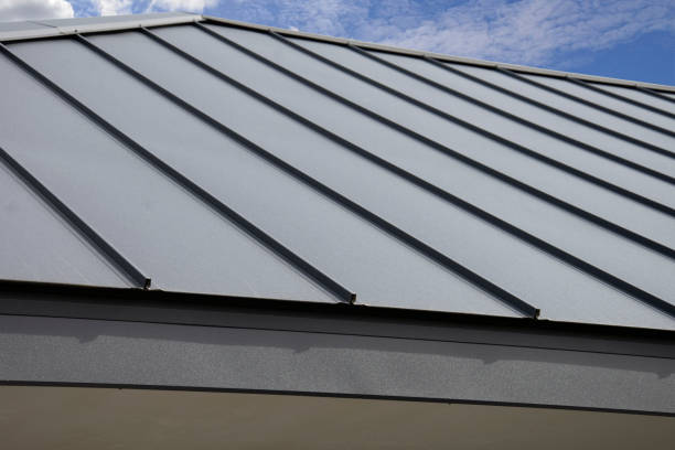 Best Roof Moss and Algae Removal  in Lowry Crossing, TX